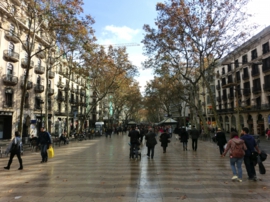 CIMG9919 のコピー.jpg