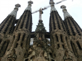 CIMG0154 のコピー.jpg